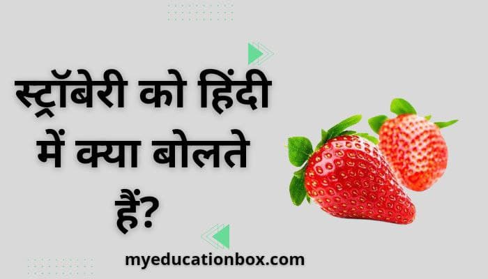 Strawberry को हिंदी में क्या कहते हैं | Strawberry ko hindi mein kya kahate hain
